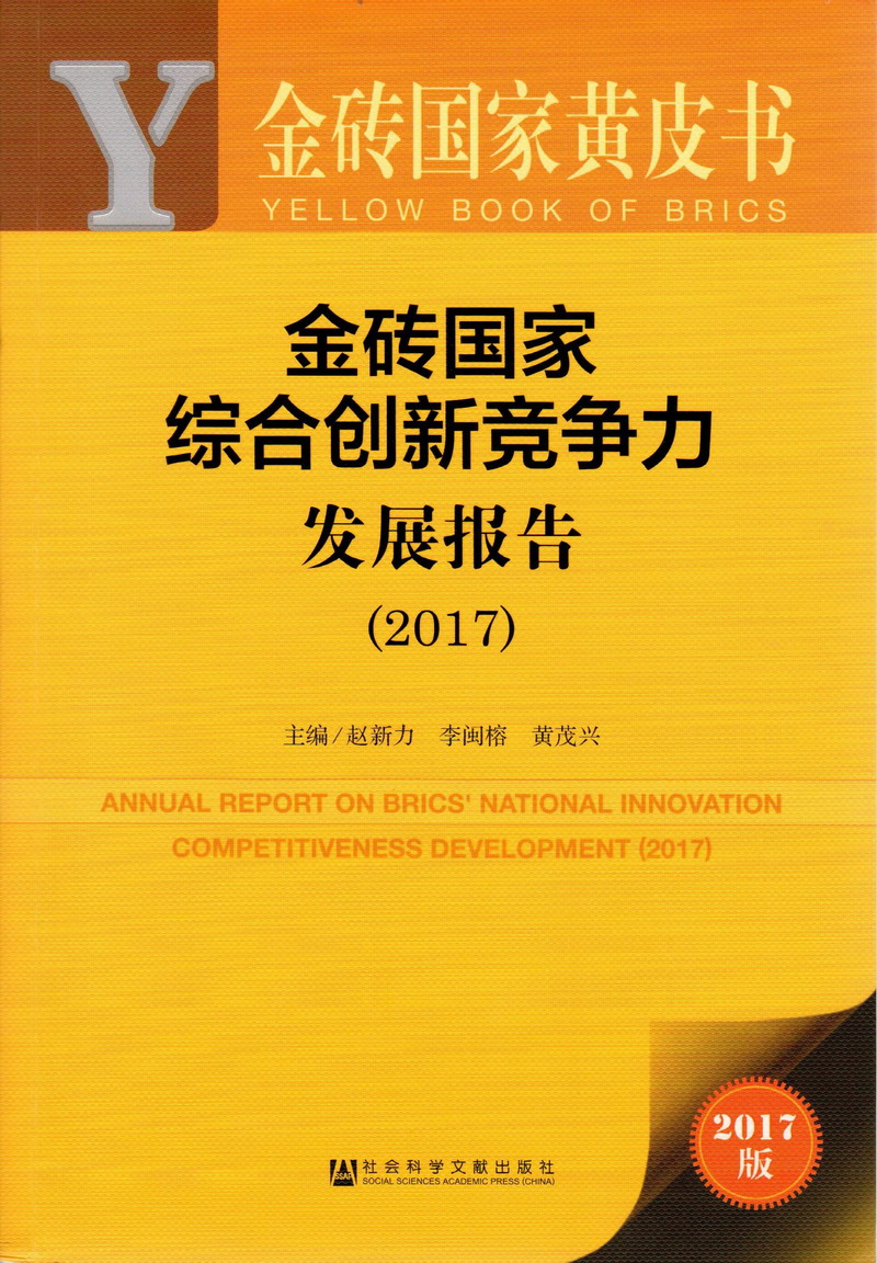 男人戳女人免费一区二区金砖国家综合创新竞争力发展报告（2017）